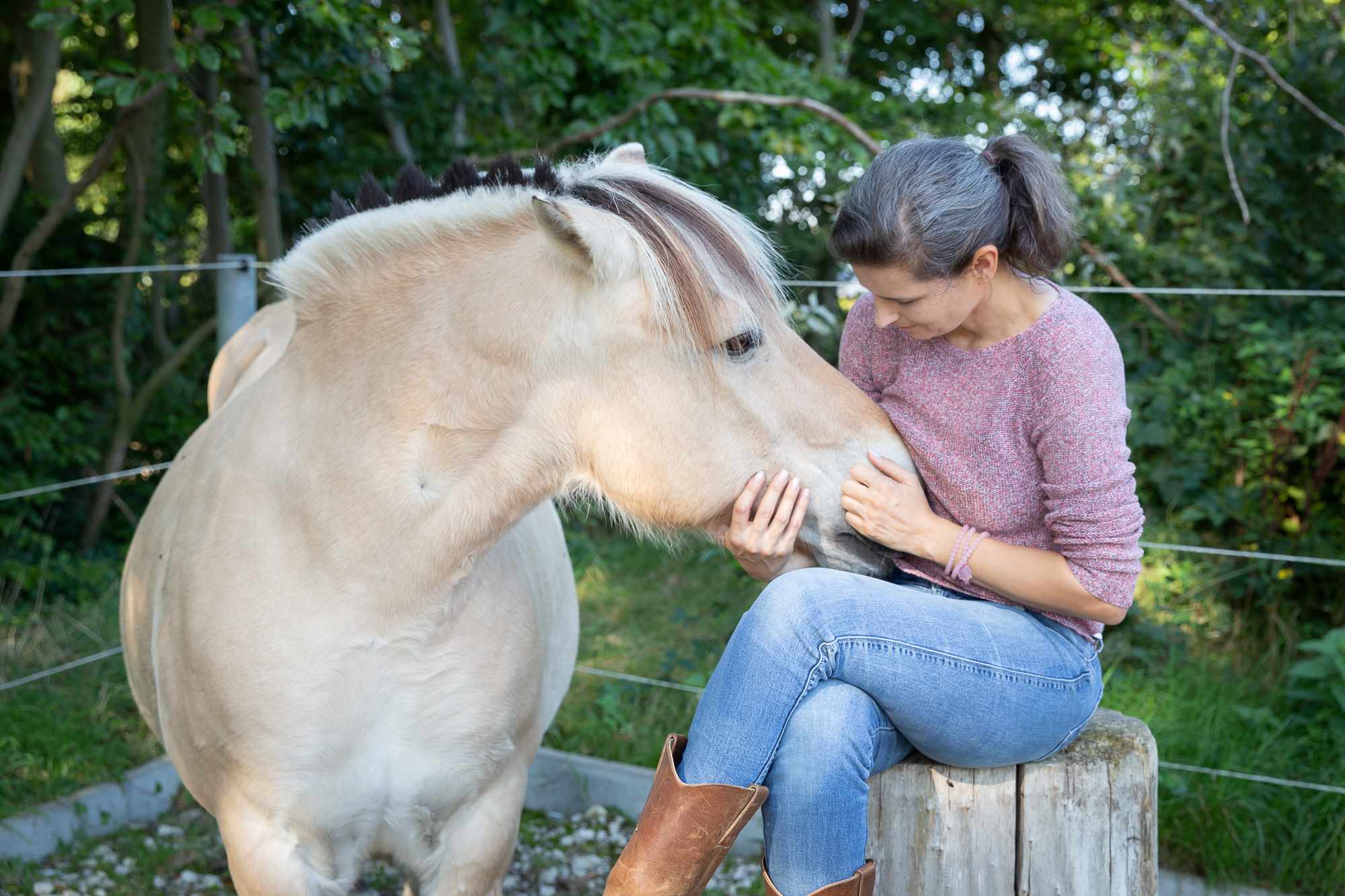 Tierkommunikation mit Pferden Probleme lösen