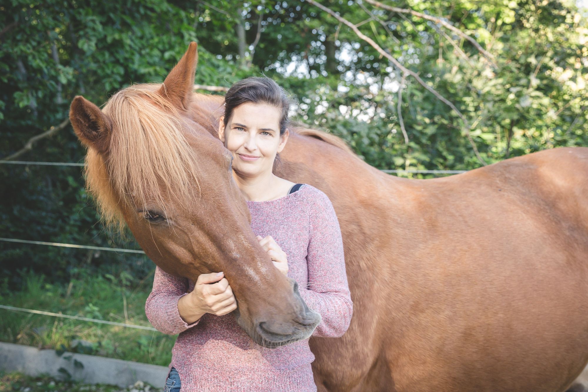 Tierkommunikation für Pferde Verladen Pferdeverhalten Pferdesprache